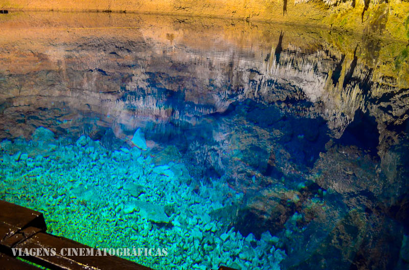 Top 7 Melhores Cenotes de Cancun, Riviera Maya, Tulum e Cobá