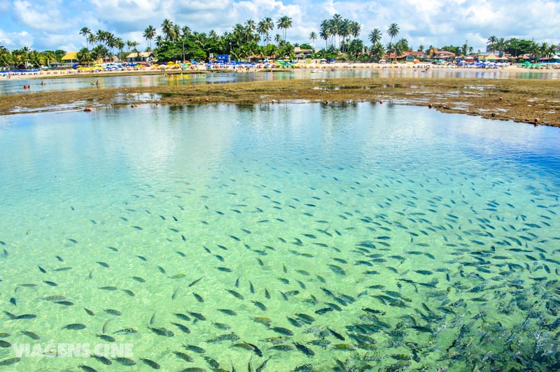 Melhores Destinos do Brasil: Porto de Galinhas