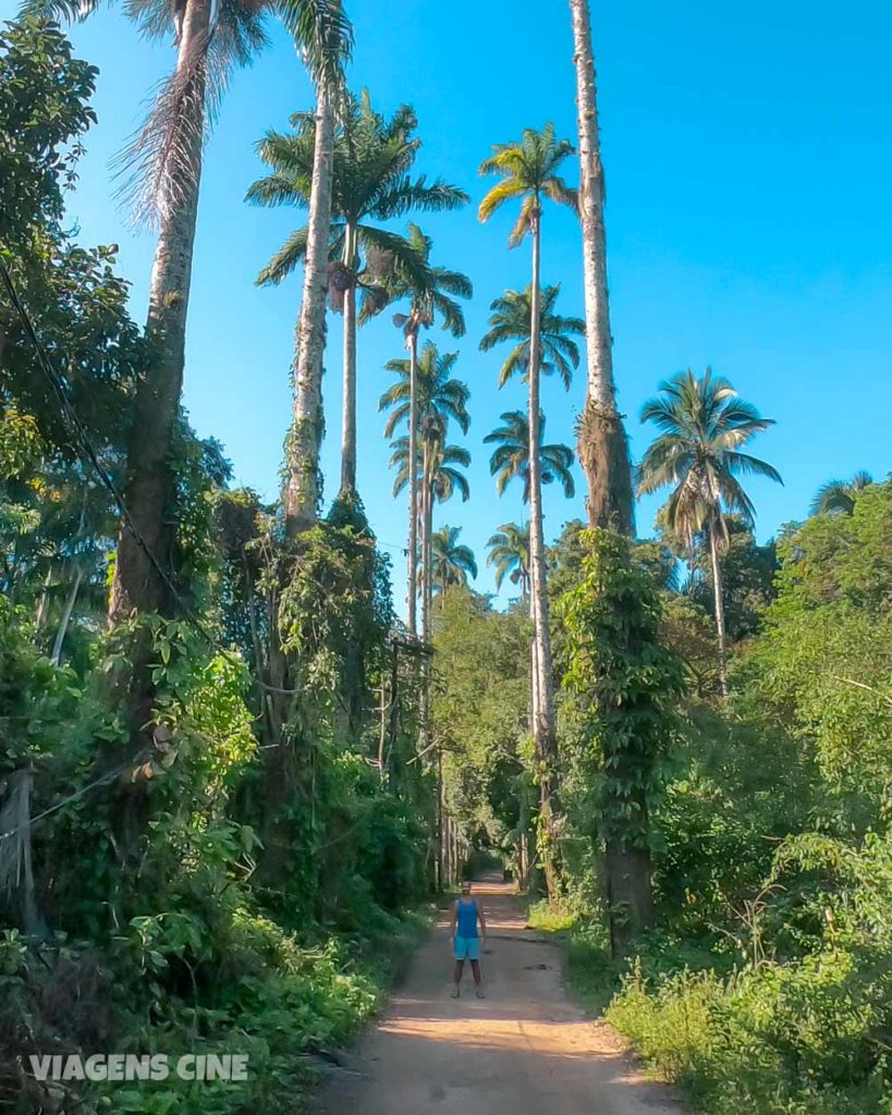 Ilha Grande - Trilha até a Praia e Presídio de Dois Rios