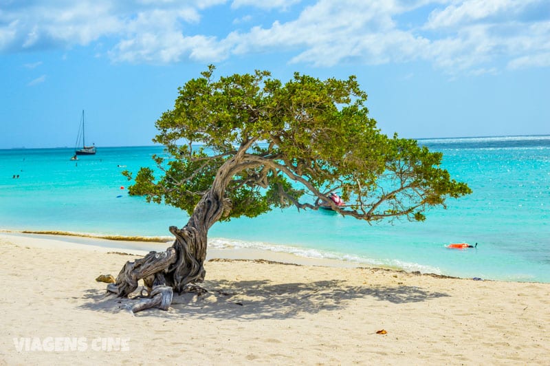 O que fazer em Aruba Dicas e Roteiro de Viagem - Como Chegar, Melhor Época, Onde Ficar