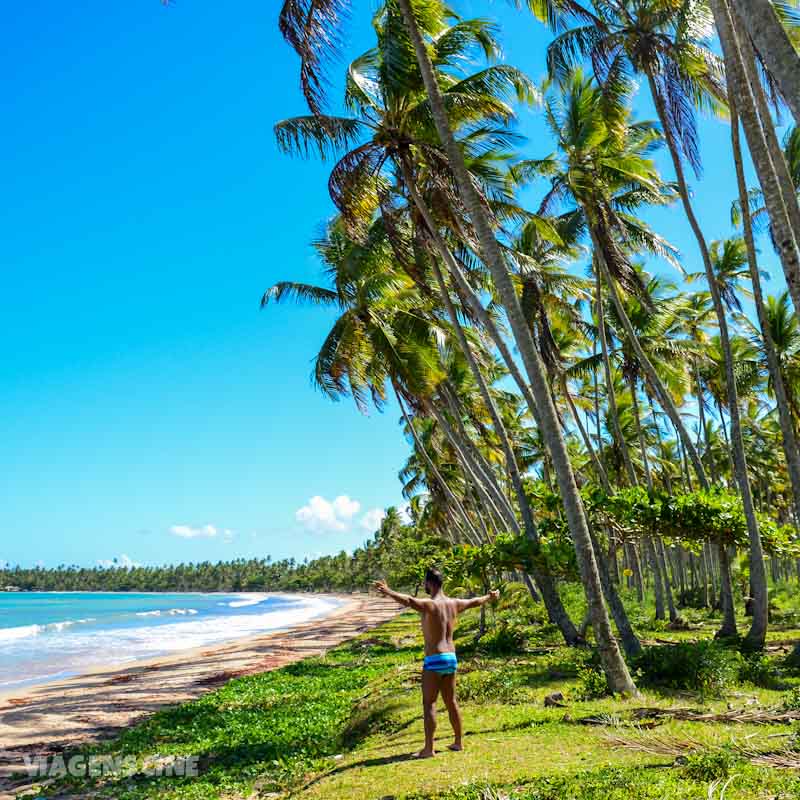 Praia de Garapuá em Morro de SP: Faixa de Coqueiros