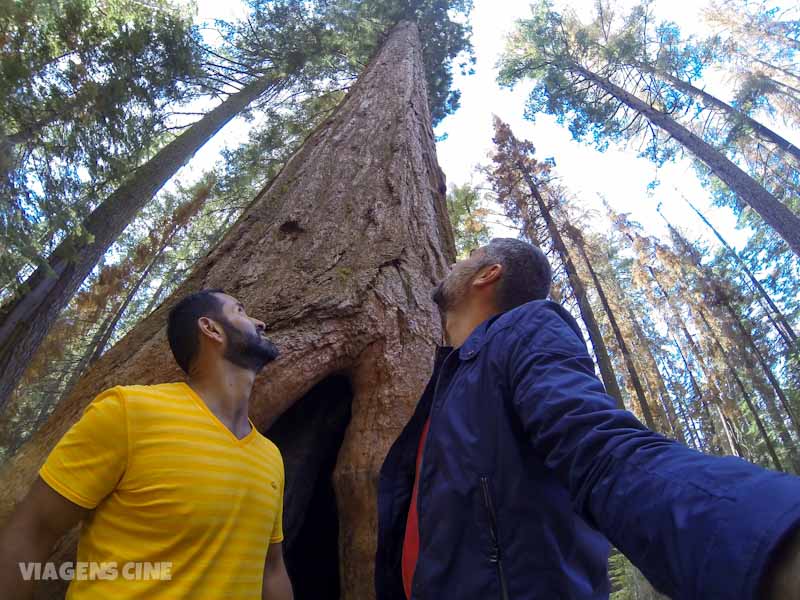 Yosemite Park: Dicas e O que fazer no Parque Nacional de Yosemite