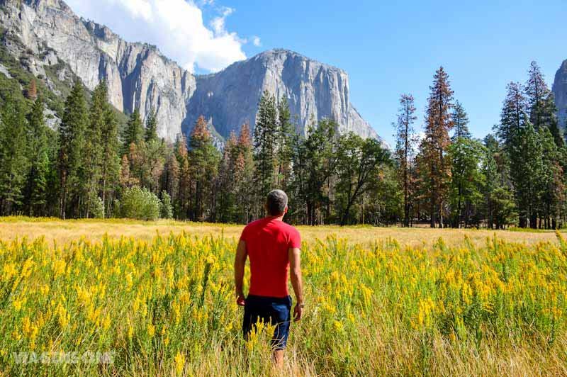 Yosemite Park Dicas: O que fazer no Parque Nacional de Yosemite, Califórnia