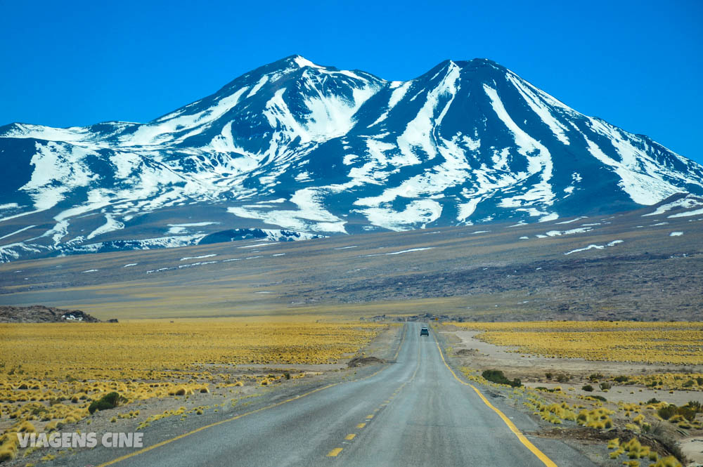 Lagunas Altiplanicas e Piedras Rojas: O Melhor Passeio do Atacama - Lagunas Miscanti e Miñiques