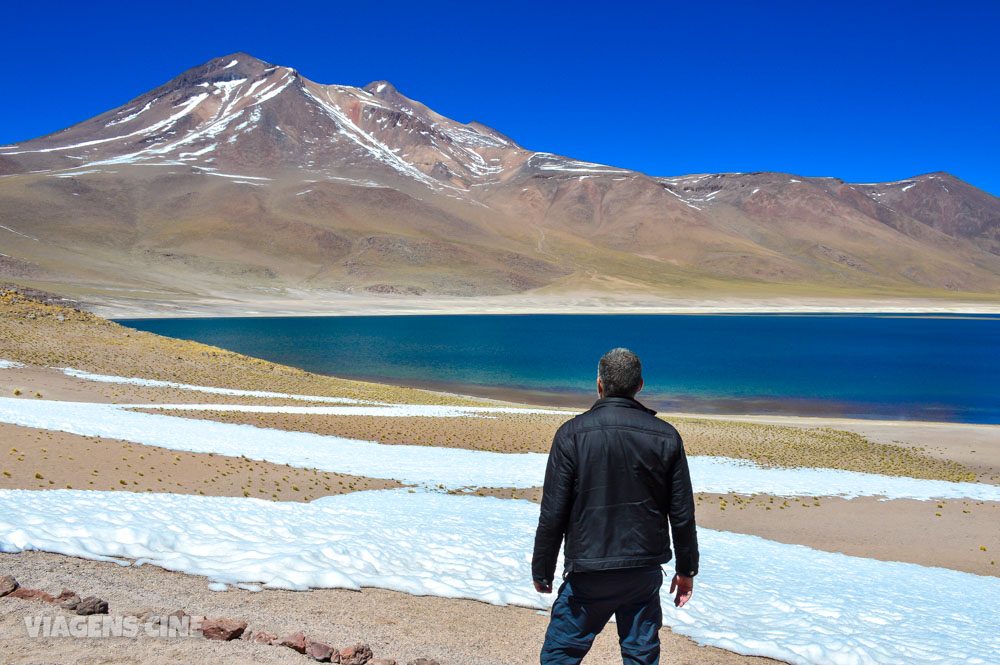 Lagunas Altiplanicas e Piedras Rojas: O Melhor Passeio do Atacama - Lagunas Miscanti e Miñiques