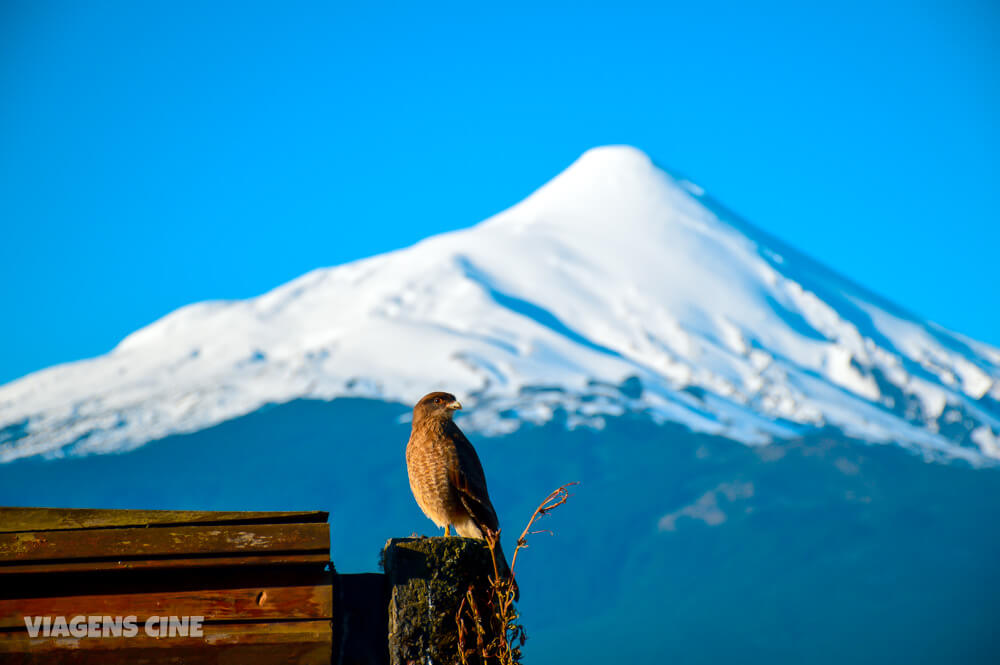 Vulcão Osorno, Chile: Lagos Andinos