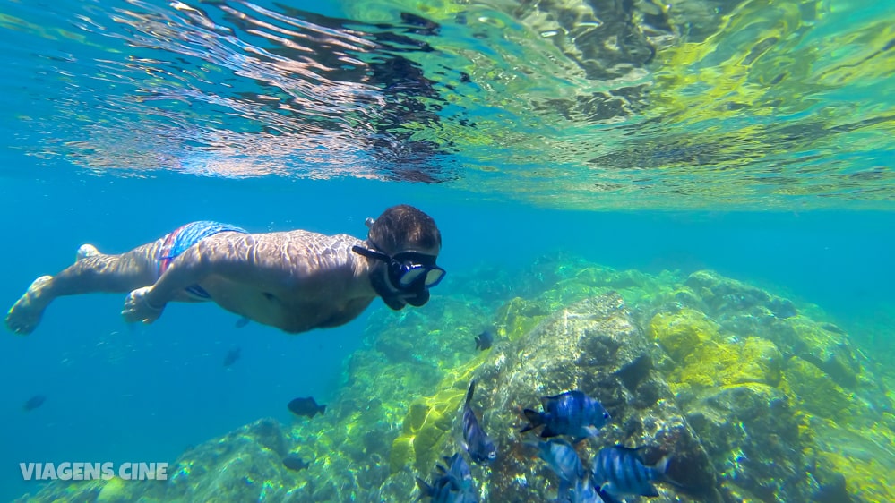 Baía do Sancho, Fernando de Noronha: A Melhor Praia do Mundo