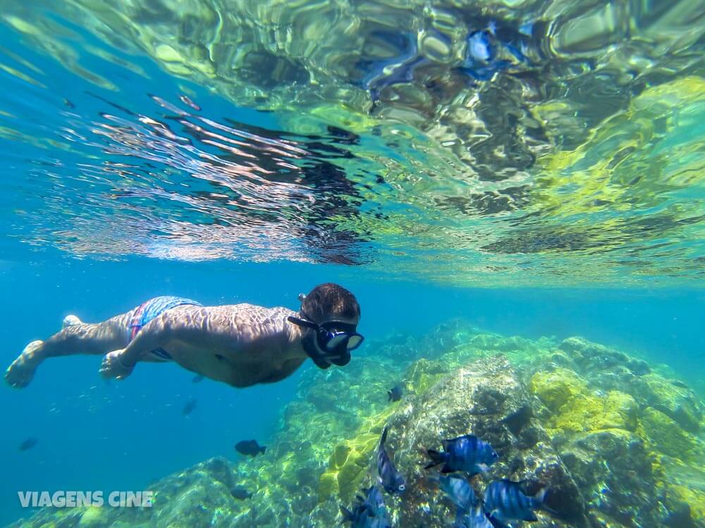 Fernando de Noronha: Passeio de Barco Vale a Pena? Preços e Como Fazer