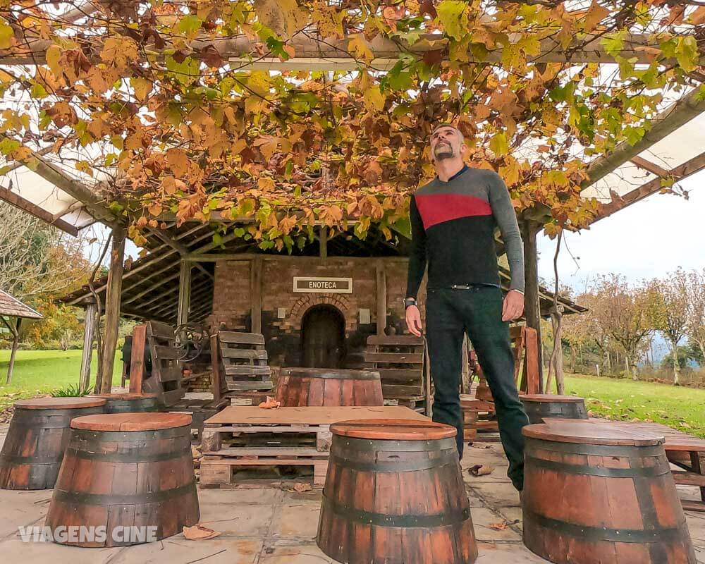 Serra Gaúcha: Roteiro do Vinho em Bento Gonçalves e Vale dos Vinhedos