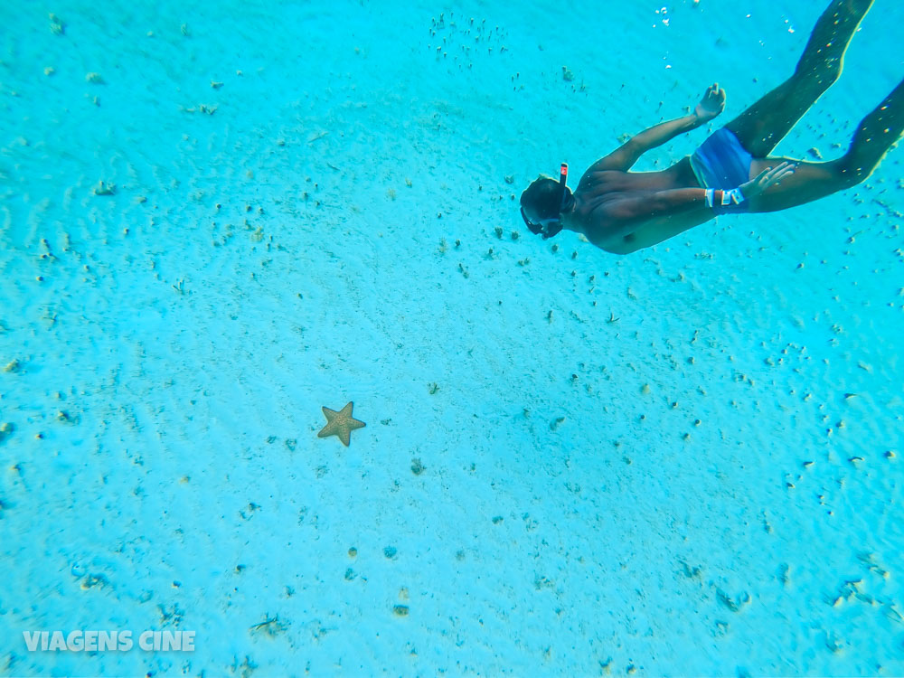 O que fazer em Cozumel - México: Como Fazer o Passeio até El Cielo e Playa Mia