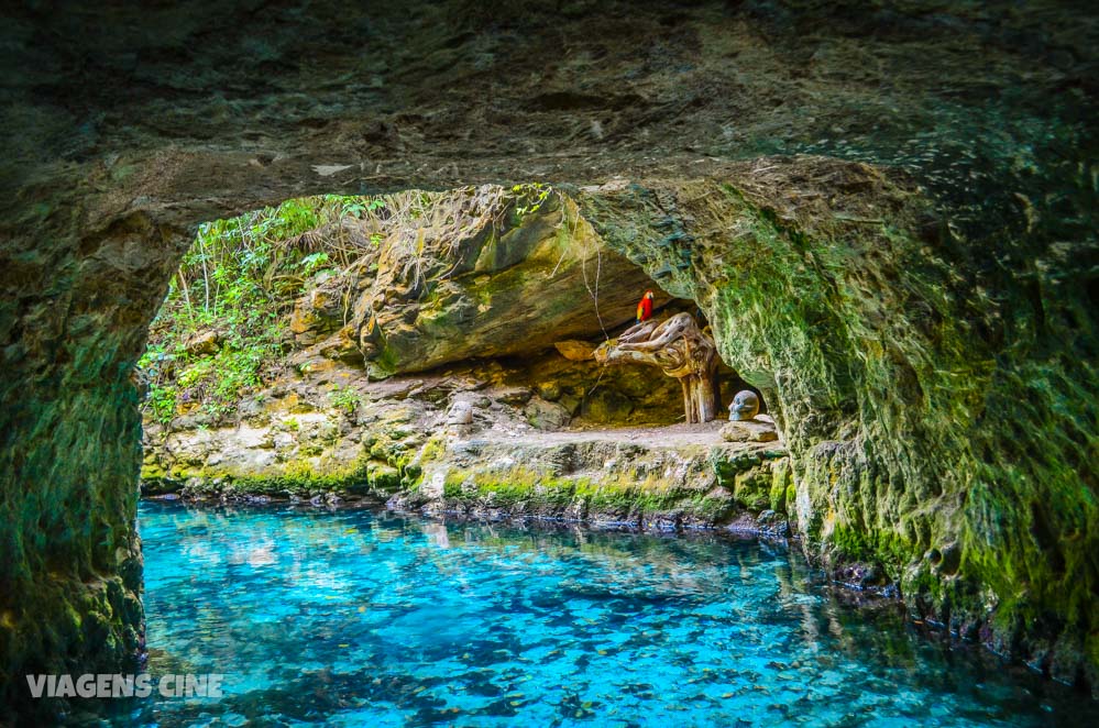 Xcaret Cancun Vale a Pena? O que Fazer, Preços e Principais Atrações