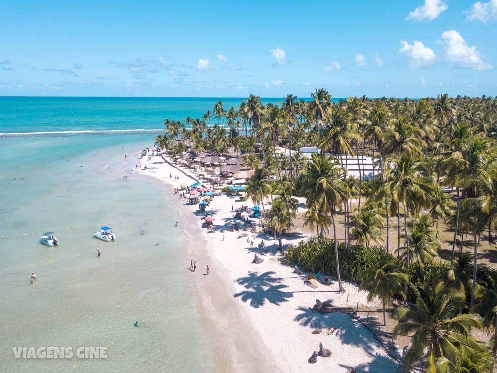 Praia dos Carneiros: Como Ir e O que Fazer - Bora a Bora Vale a Pena?