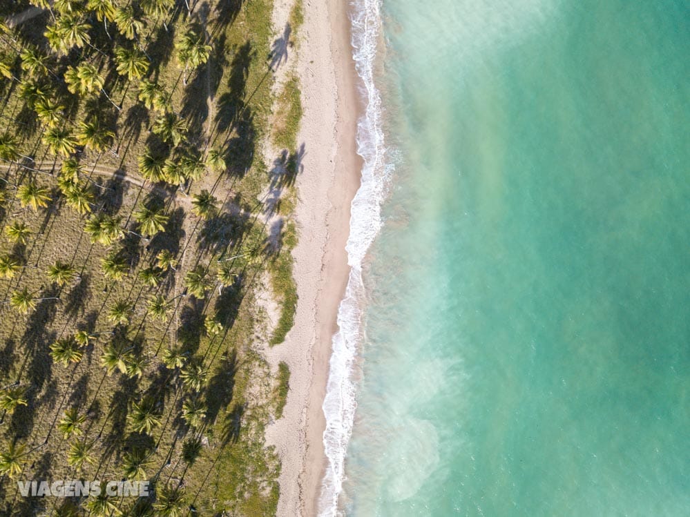 O que fazer em Porto de Pedras: Praia do Patacho, Tatuamunha e Projeto Peixe-Boi - Alagoas