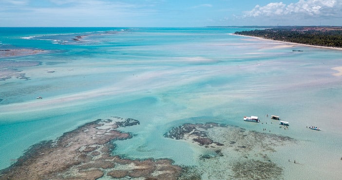 Praias de Maragogi: Ponta de Mangue