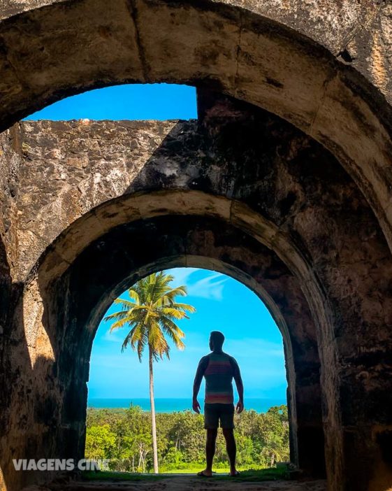 O que fazer na Praia do Forte: Projeto Tamar