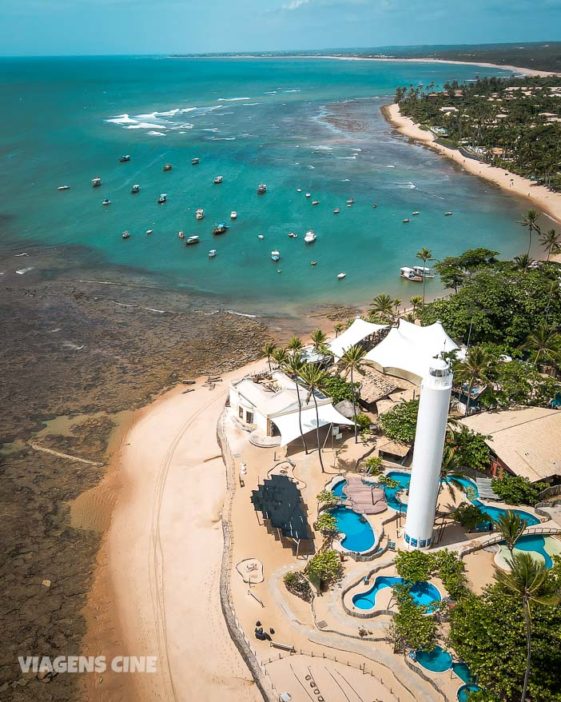 O que fazer na Praia do Forte: Projeto Tamar