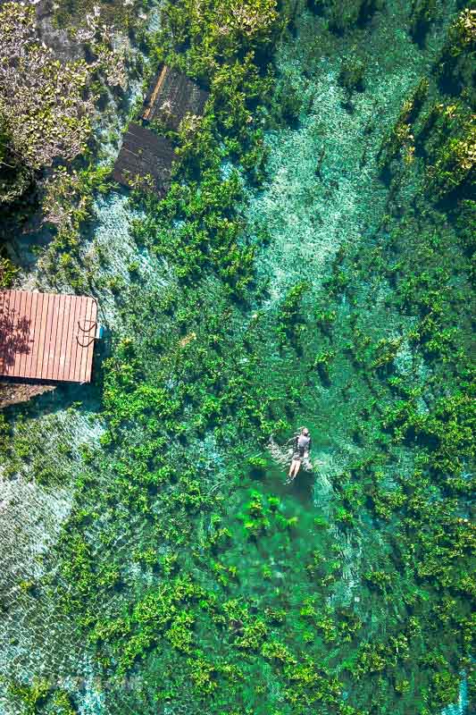 O que fazer em Bonito: Nascentes da Serra da Bodoquena