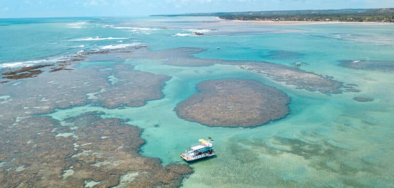 O que fazer em São José da Coroa Grande, PE - Terra das Piscinas Naturais